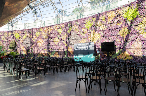 Conference setup at the Driva Accelerate Conference held at The Calyx Sydney