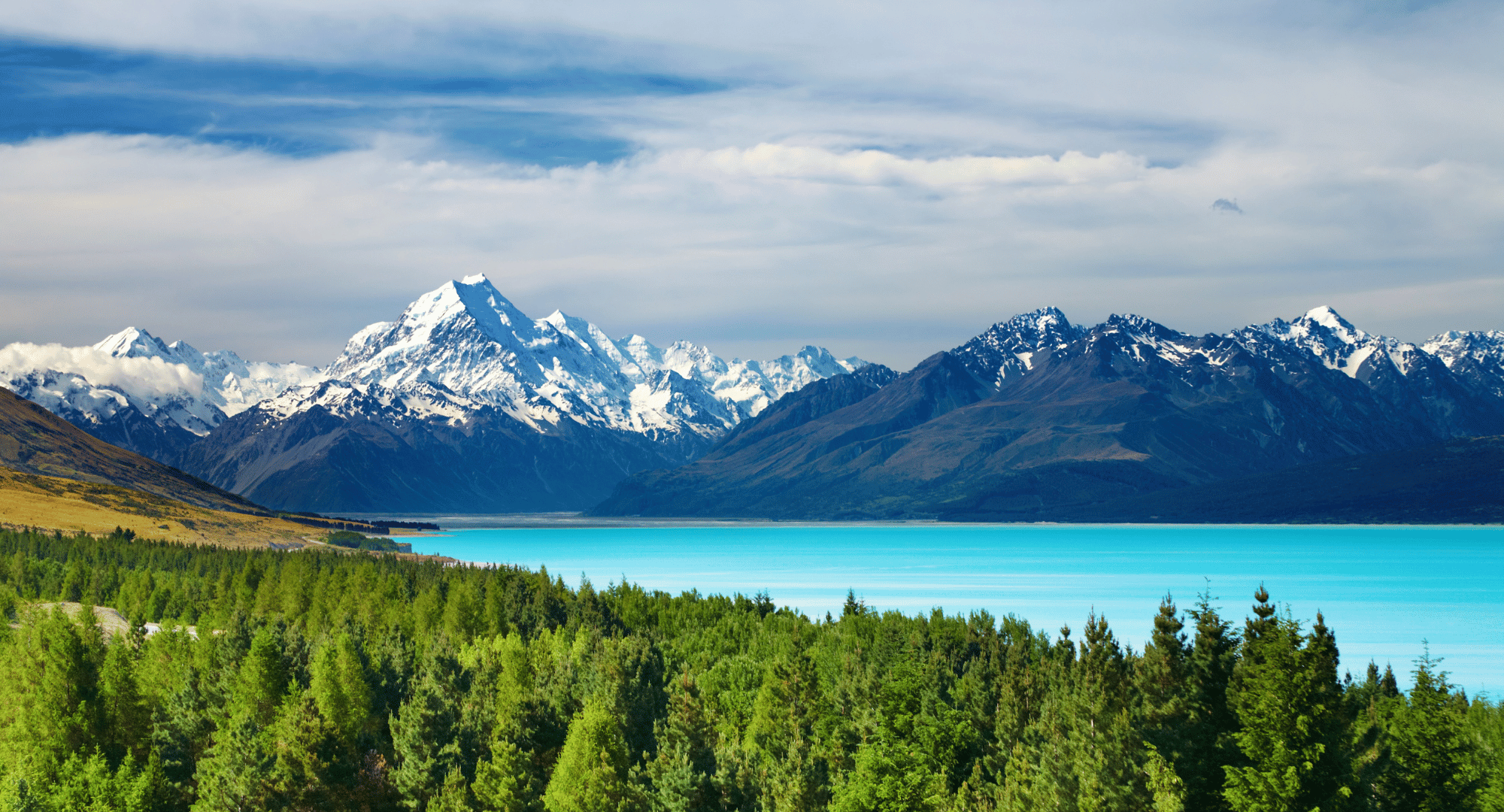 New Zealand Skyline
