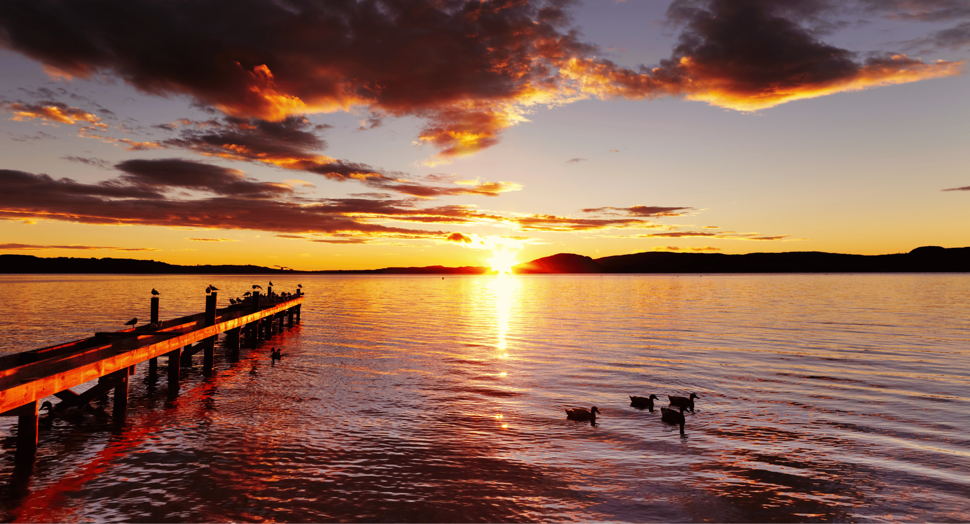 Rotorua Sunset