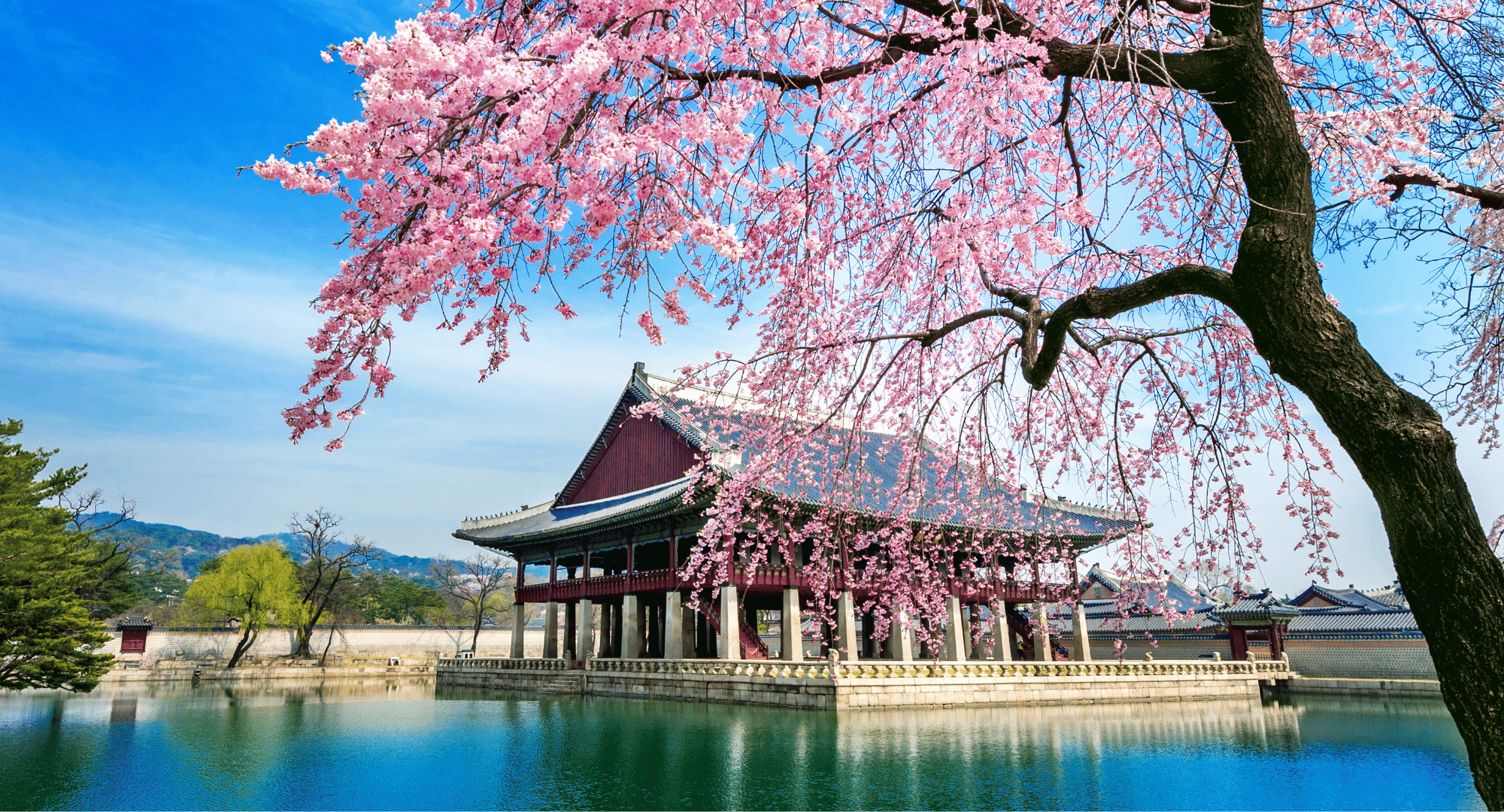 Seoul Temple on Water with Cherry Blossom - Business Events Destination